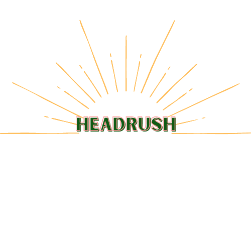danielle.headrush logo