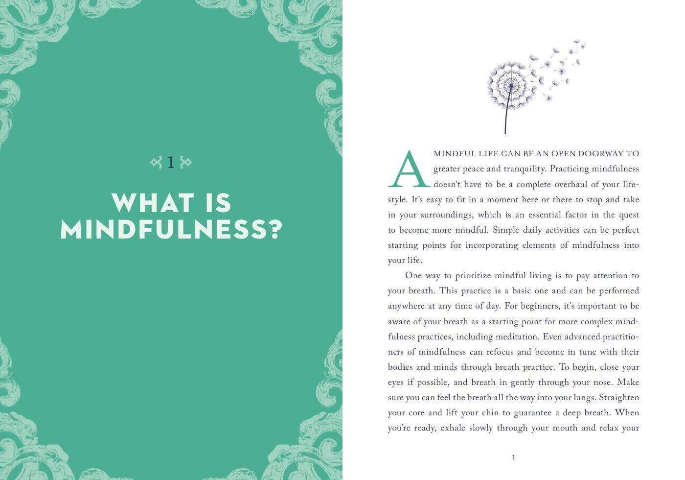 A Little Bit of Mindfulness by Amy Leigh Mercree