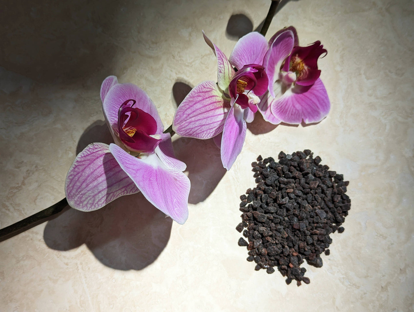 Wild Orchid & Black Salt (Mini)